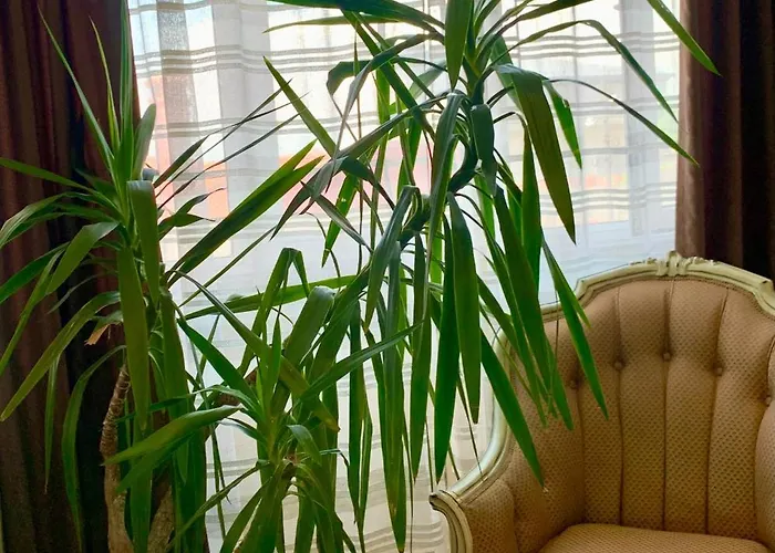 The White House Otel Filibe